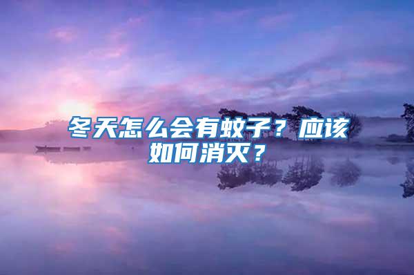 冬天怎么會有蚊子？應該如何消滅？
