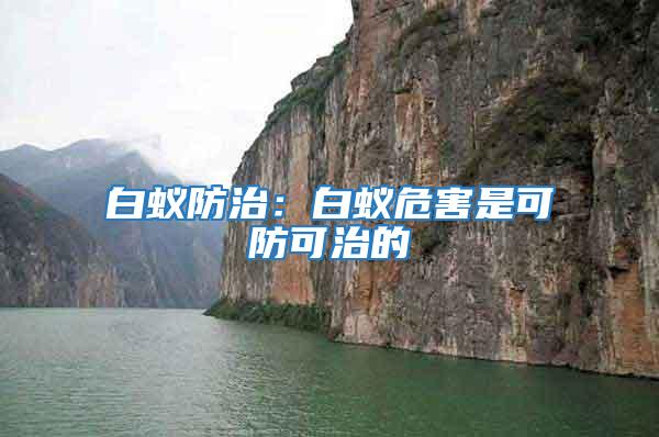白蟻防治：白蟻危害是可防可治的