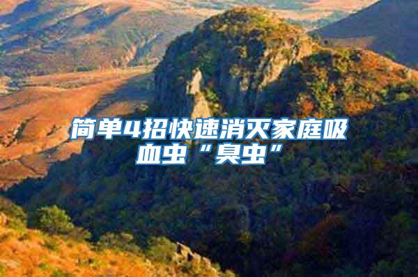 簡(jiǎn)單4招快速消滅家庭吸血蟲(chóng)“臭蟲(chóng)”