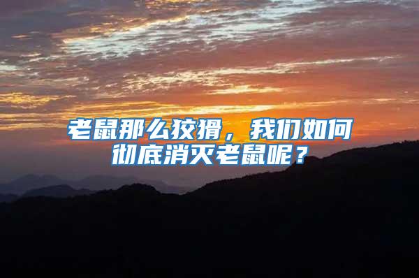 老鼠那么狡猾，我們?nèi)绾螐氐紫麥缋鲜竽兀?/></p>
             <p style=
