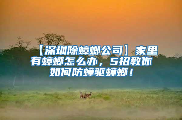 【深圳除蟑螂公司】家里有蟑螂怎么辦，5招教你如何防蟑驅(qū)蟑螂！