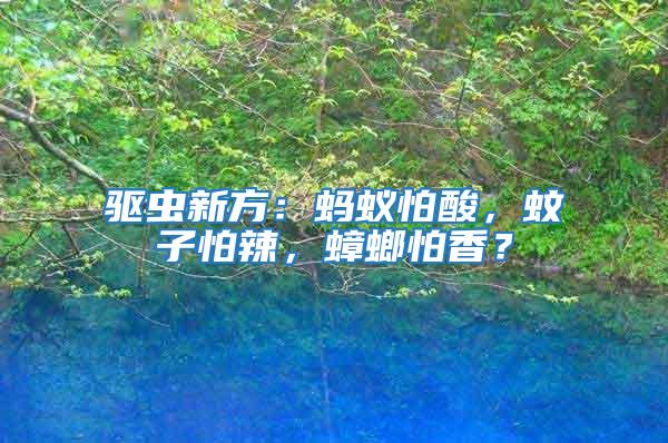 驅蟲新方：螞蟻怕酸，蚊子怕辣，蟑螂怕香？