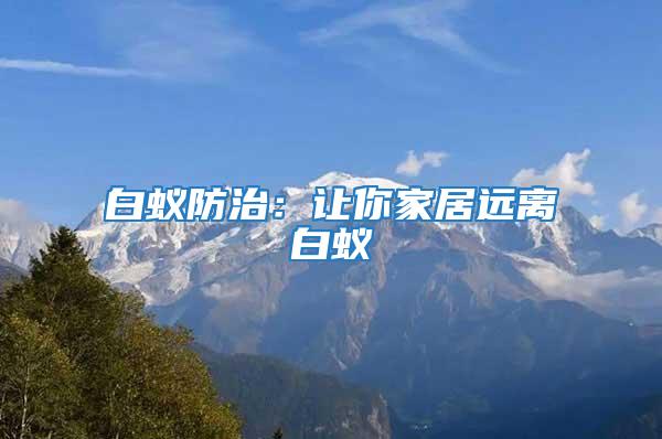 白蟻防治：讓你家居遠離白蟻