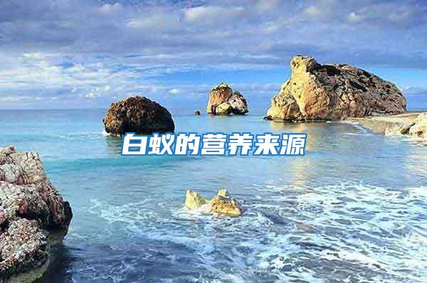 白蟻的營養來源