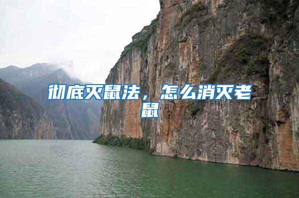 徹底滅鼠法，怎么消滅老鼠