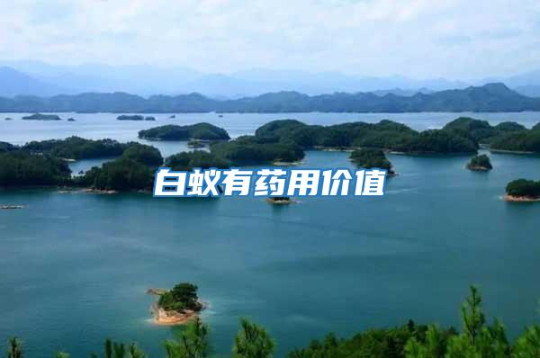 白蟻有藥用價(jià)值