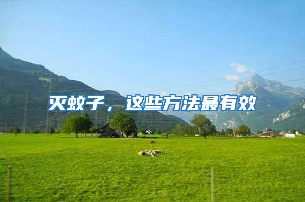 滅蚊子，這些方法最有效
