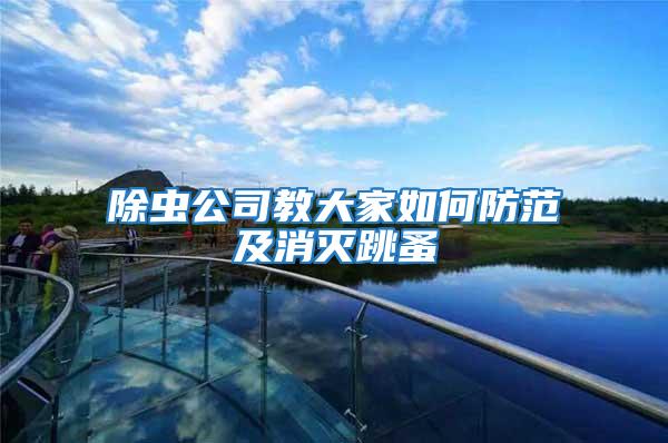 除蟲(chóng)公司教大家如何防范及消滅跳蚤
