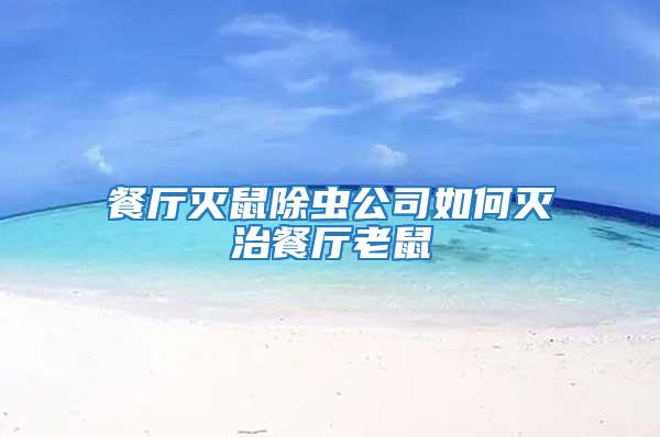 餐廳滅鼠除蟲公司如何滅治餐廳老鼠