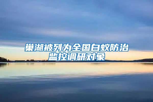 巢湖被列為全國(guó)白蟻防治監(jiān)控調(diào)研對(duì)象