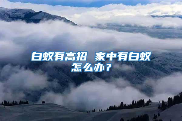 白蟻有高招 家中有白蟻怎么辦？