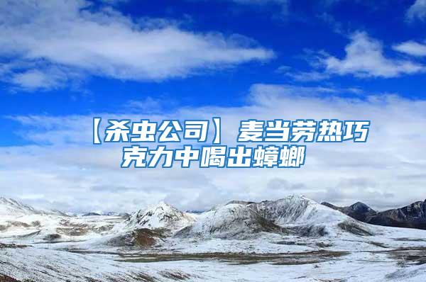 【殺蟲公司】麥當勞熱巧克力中喝出蟑螂
