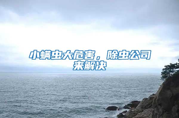 小螨蟲(chóng)大危害，除蟲(chóng)公司來(lái)解決