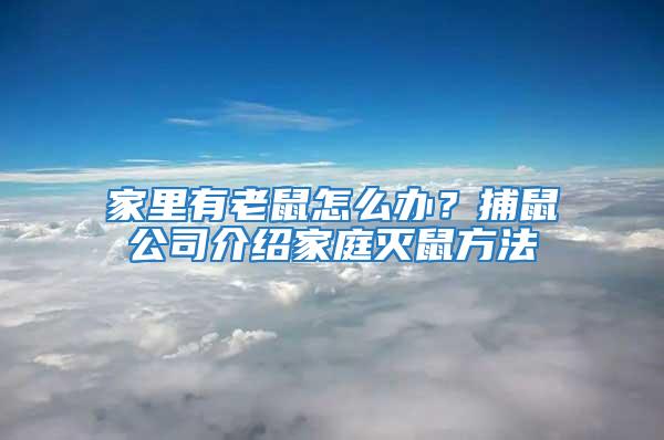 家里有老鼠怎么辦？捕鼠公司介紹家庭滅鼠方法
