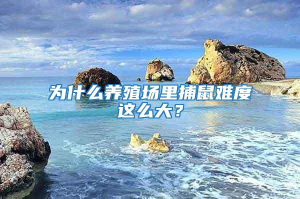 為什么養(yǎng)殖場里捕鼠難度這么大？
