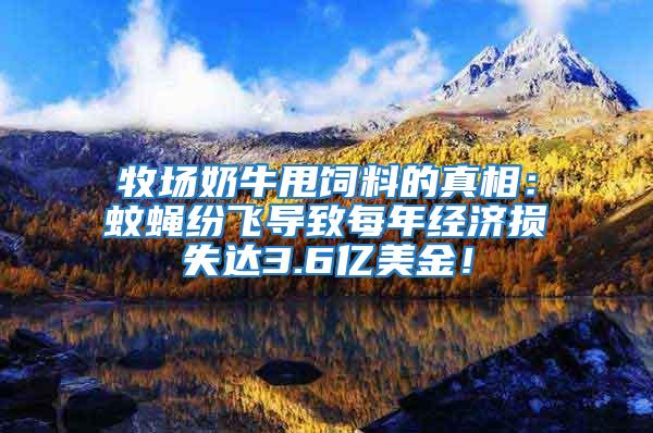 牧場奶牛甩飼料的真相：蚊蠅紛飛導致每年經(jīng)濟損失達3.6億美金！