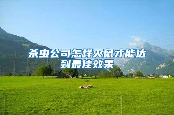 殺蟲公司怎樣滅鼠才能達(dá)到最佳效果