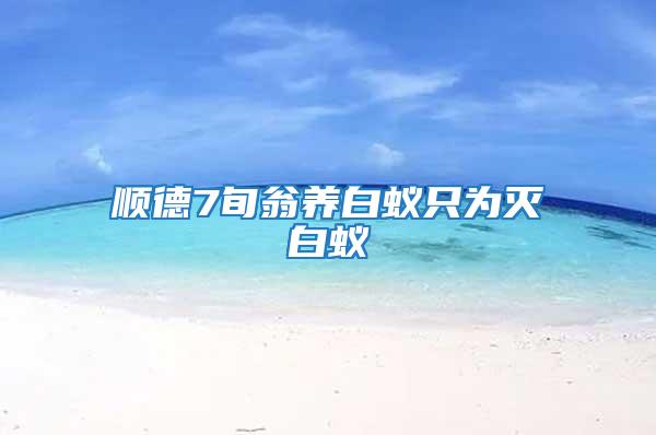 順德7旬翁養白蟻只為滅白蟻