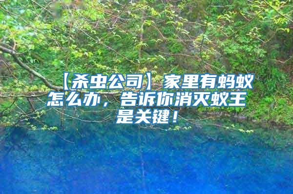 【殺蟲(chóng)公司】家里有螞蟻怎么辦，告訴你消滅蟻王是關(guān)鍵！