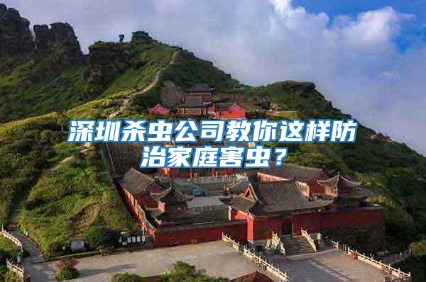深圳殺蟲公司教你這樣防治家庭害蟲？