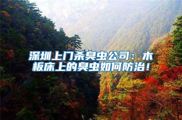 深圳上門殺臭蟲公司：木板床上的臭蟲如何防治！