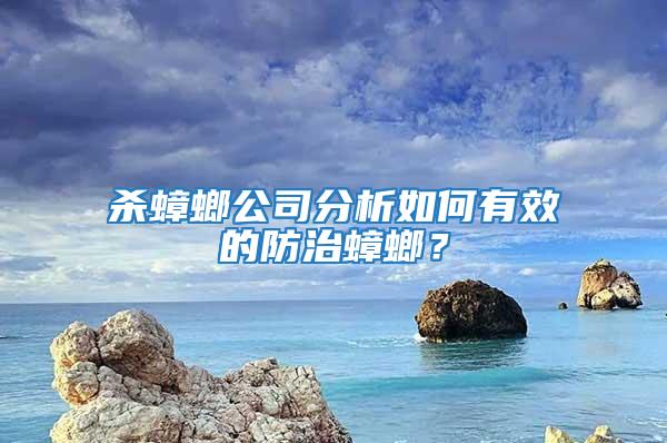 殺蟑螂公司分析如何有效的防治蟑螂？