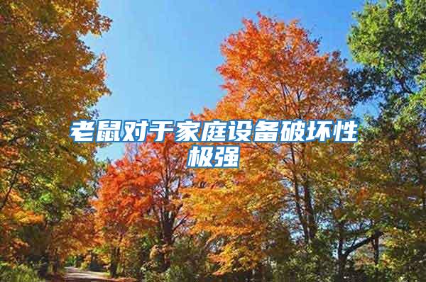老鼠對(duì)于家庭設(shè)備破壞性極強(qiáng)