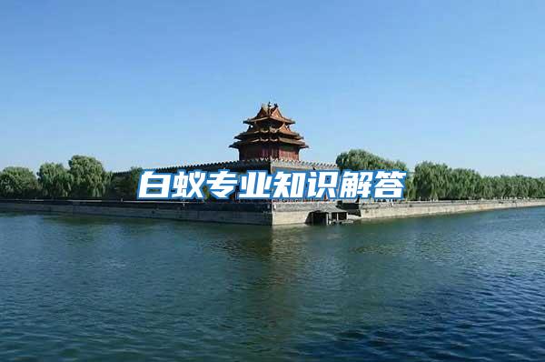 白蟻專業(yè)知識解答