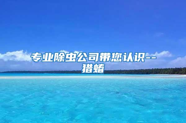 專業(yè)除蟲公司帶您認識--獵蝽