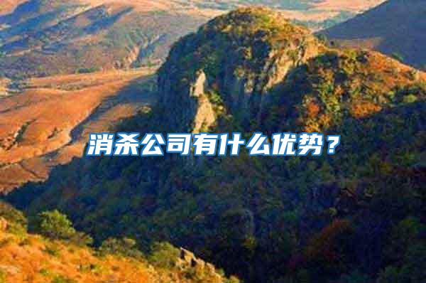 消殺公司有什么優勢？
