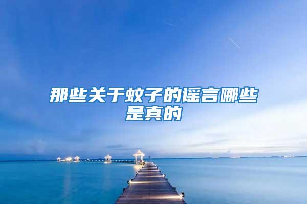 那些關于蚊子的謠言哪些是真的