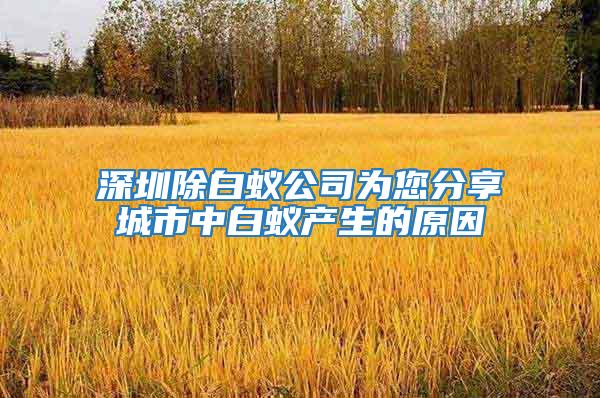 深圳除白蟻公司為您分享城市中白蟻產生的原因
