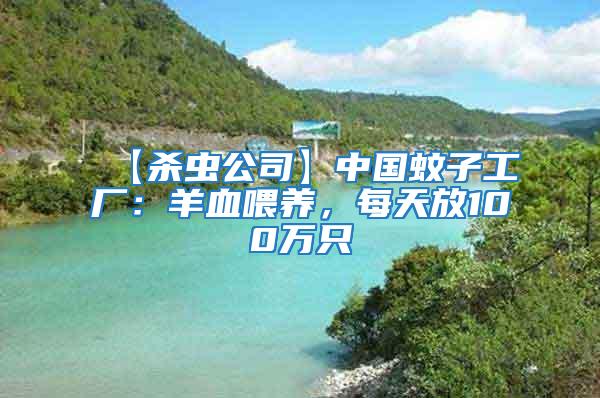 【殺蟲公司】中國蚊子工廠：羊血喂養，每天放100萬只