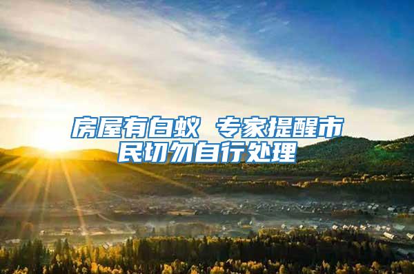 房屋有白蟻 專家提醒市民切勿自行處理