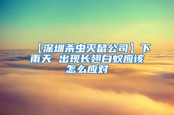 【深圳殺蟲滅鼠公司】下雨天 出現(xiàn)長翅白蟻應(yīng)該怎么應(yīng)對