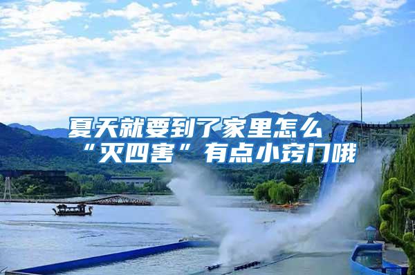 夏天就要到了家里怎么“滅四害”有點小竅門哦