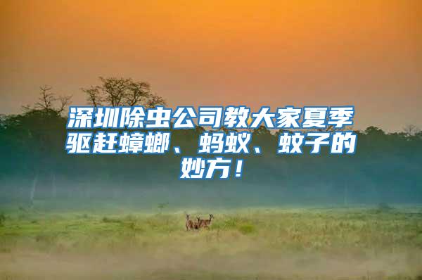 深圳除蟲公司教大家夏季驅(qū)趕蟑螂、螞蟻、蚊子的妙方！