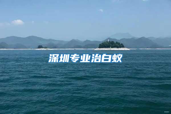 深圳專業治白蟻