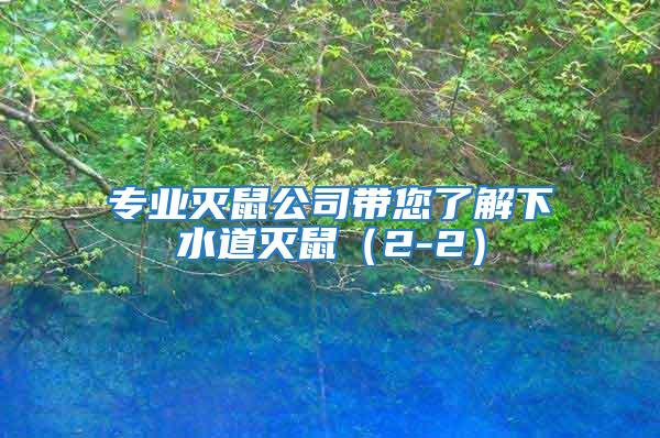 專業滅鼠公司帶您了解下水道滅鼠（2-2）