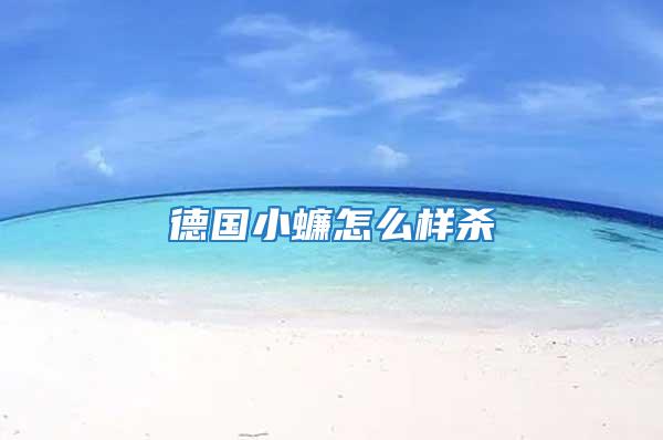 德國小蠊怎么樣殺