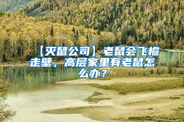 【滅鼠公司】老鼠會(huì)飛檐走壁，高層家里有老鼠怎么辦？