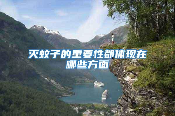 滅蚊子的重要性都體現在哪些方面