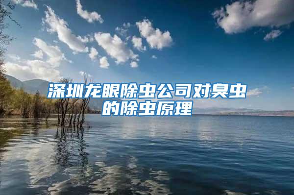 深圳龍眼除蟲公司對臭蟲的除蟲原理