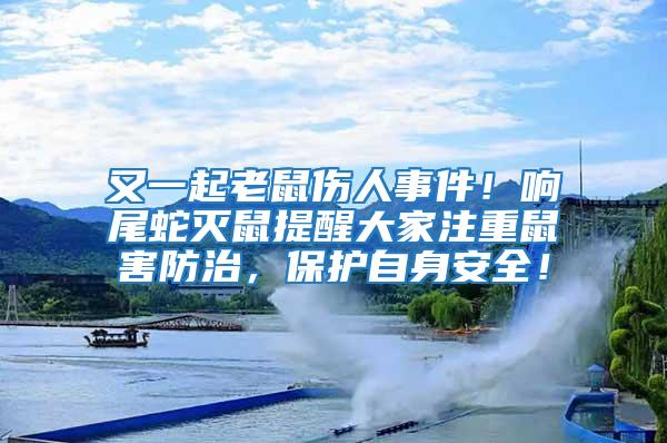 又一起老鼠傷人事件！響尾蛇滅鼠提醒大家注重鼠害防治，保護自身安全！