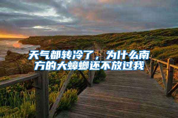 天氣都轉冷了，為什么南方的大蟑螂還不放過我