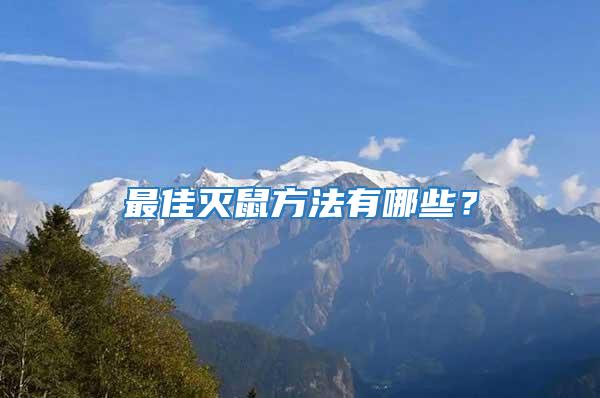 最佳滅鼠方法有哪些？