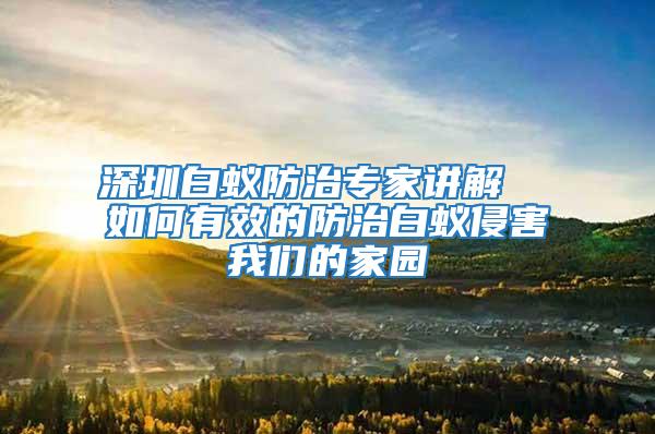 深圳白蟻防治專(zhuān)家講解  如何有效的防治白蟻侵害我們的家園