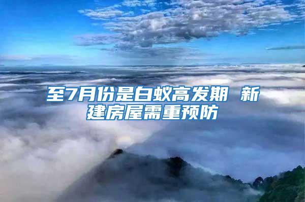 至7月份是白蟻高發期 新建房屋需重預防