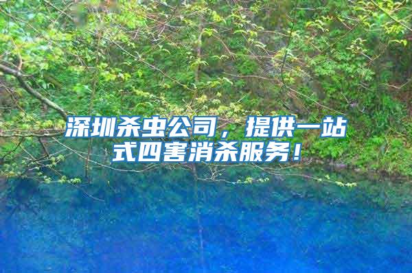 深圳殺蟲公司，提供一站式四害消殺服務！