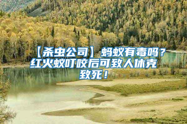 【殺蟲公司】螞蟻有毒嗎？紅火蟻叮咬后可致人休克致死！